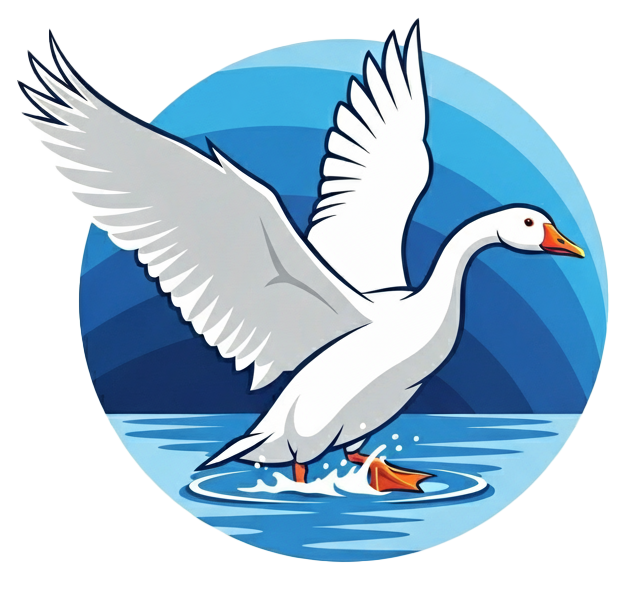 Sky to Water logo